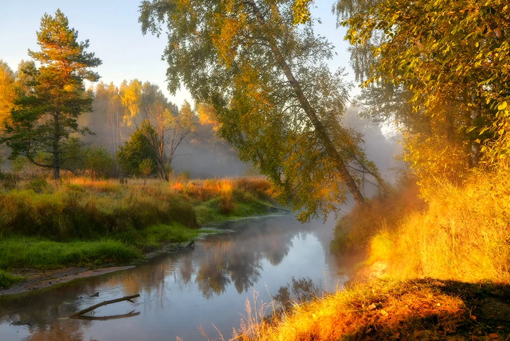 Река Нерская осенью Московская область