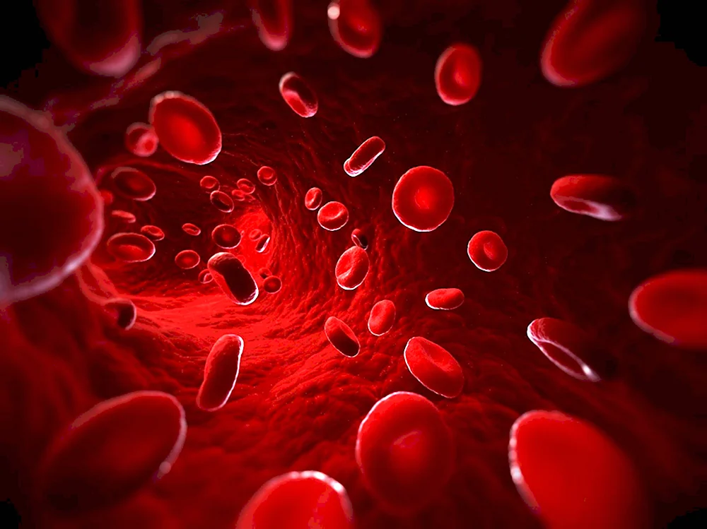 Резус-фактор на клетке крови