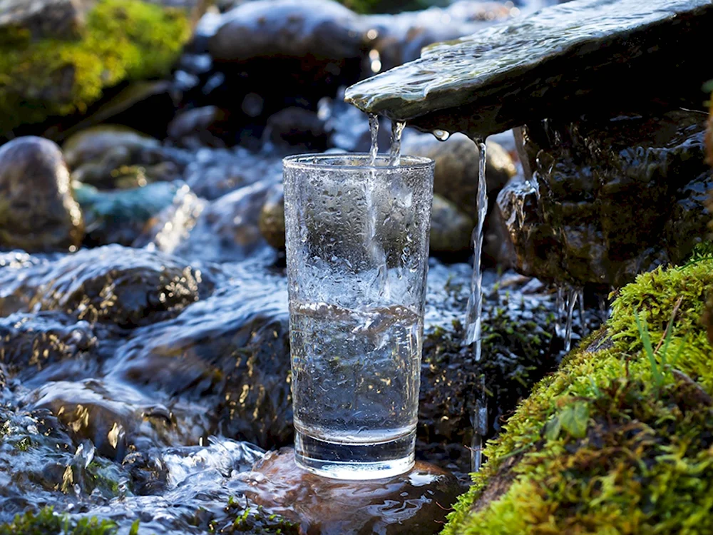 Родник Минеральные воды