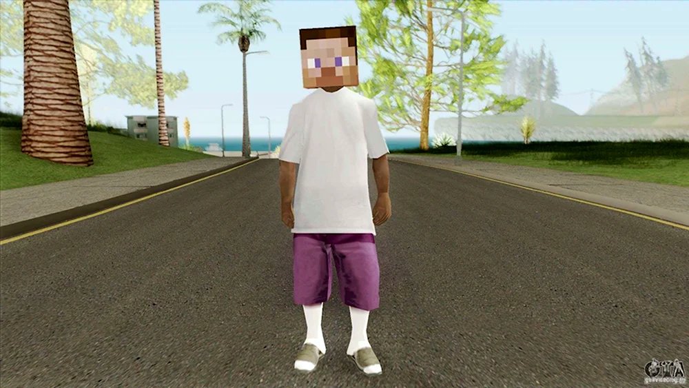 РОФЛ скины GTA sa