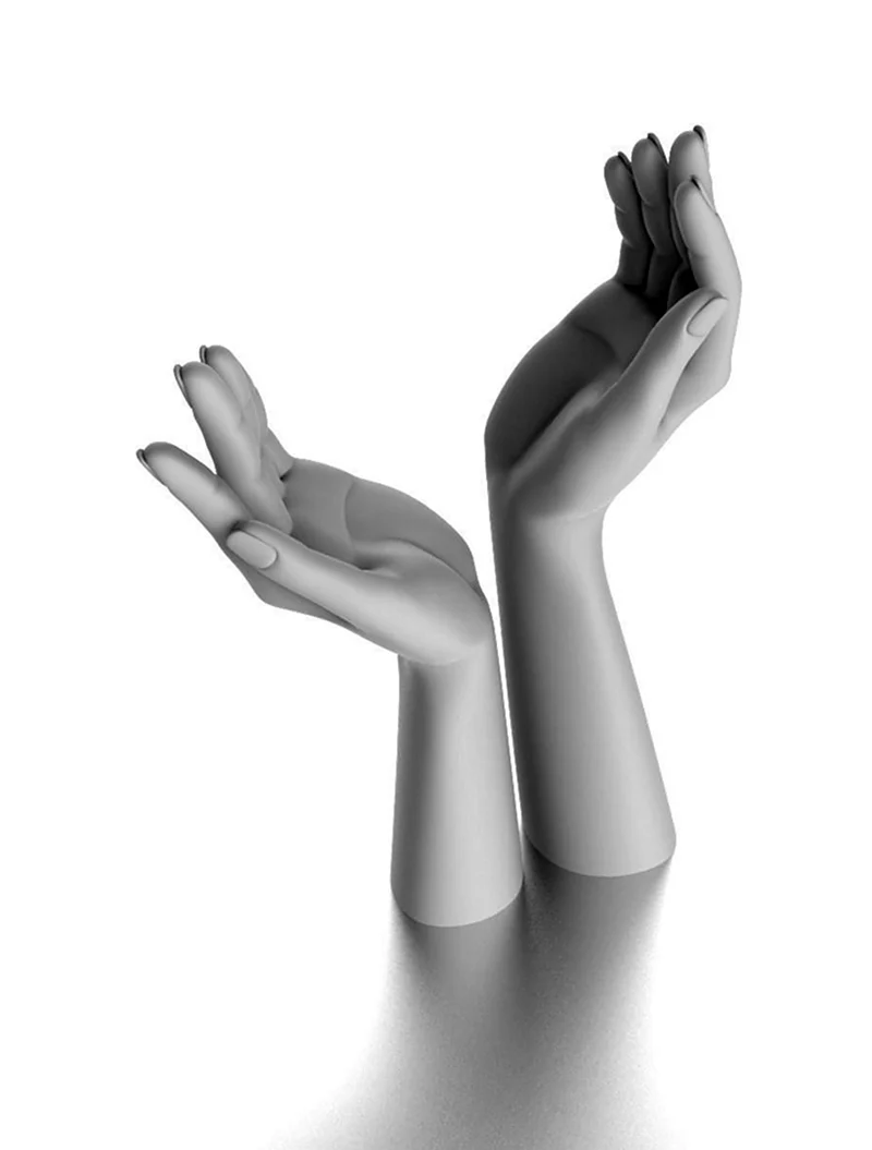 Рука 3d модель