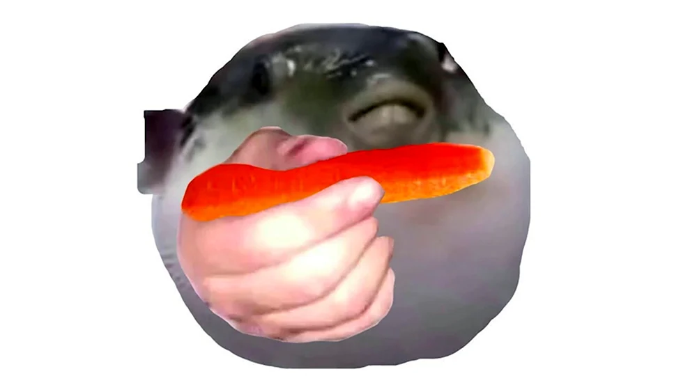 Рыба фугу с морковкой