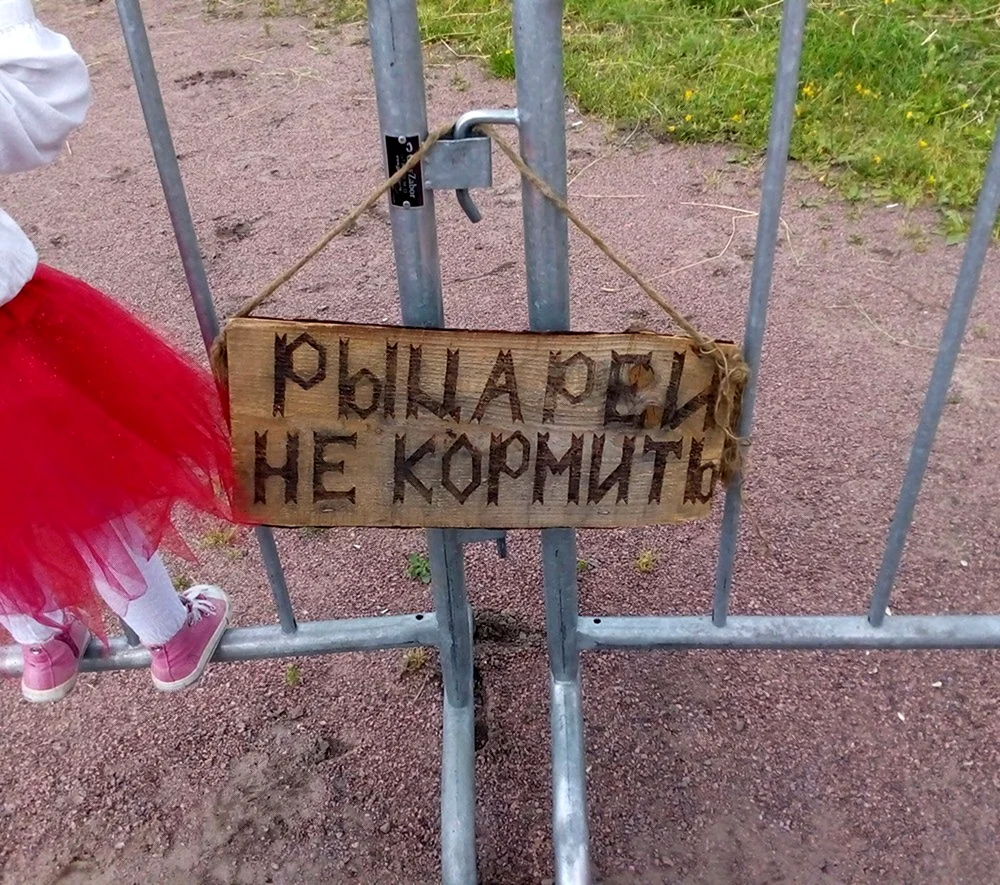 Рыцарей не кормить