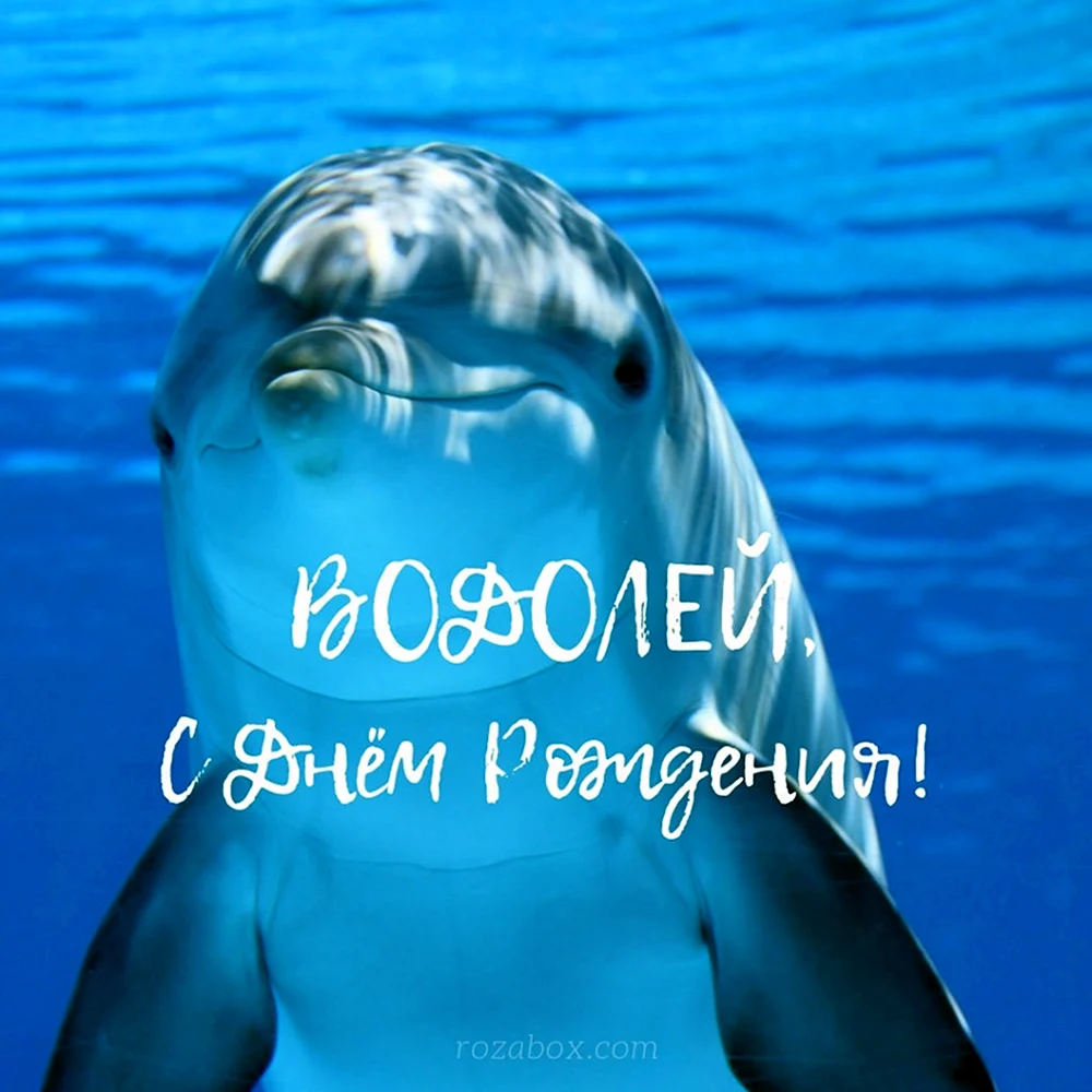 С днем рождения Водолей