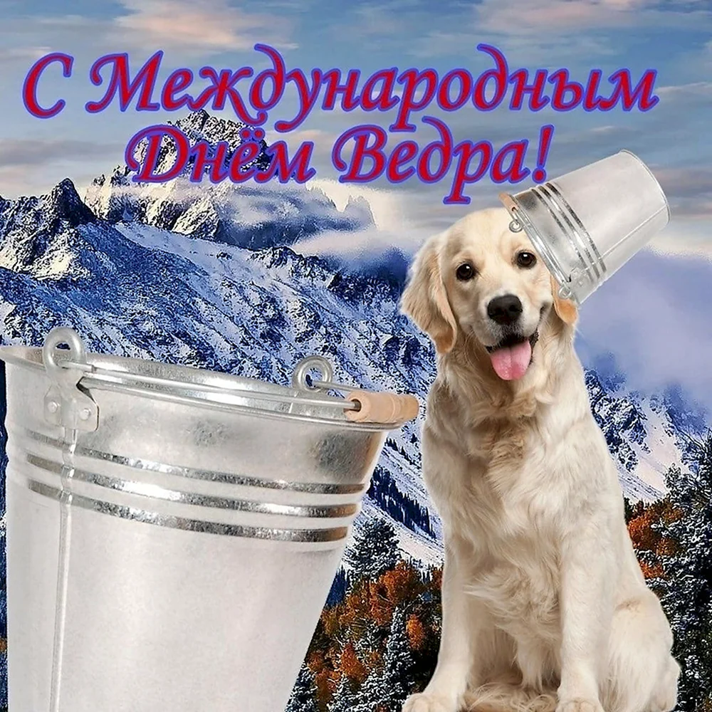 С международным днем ведра