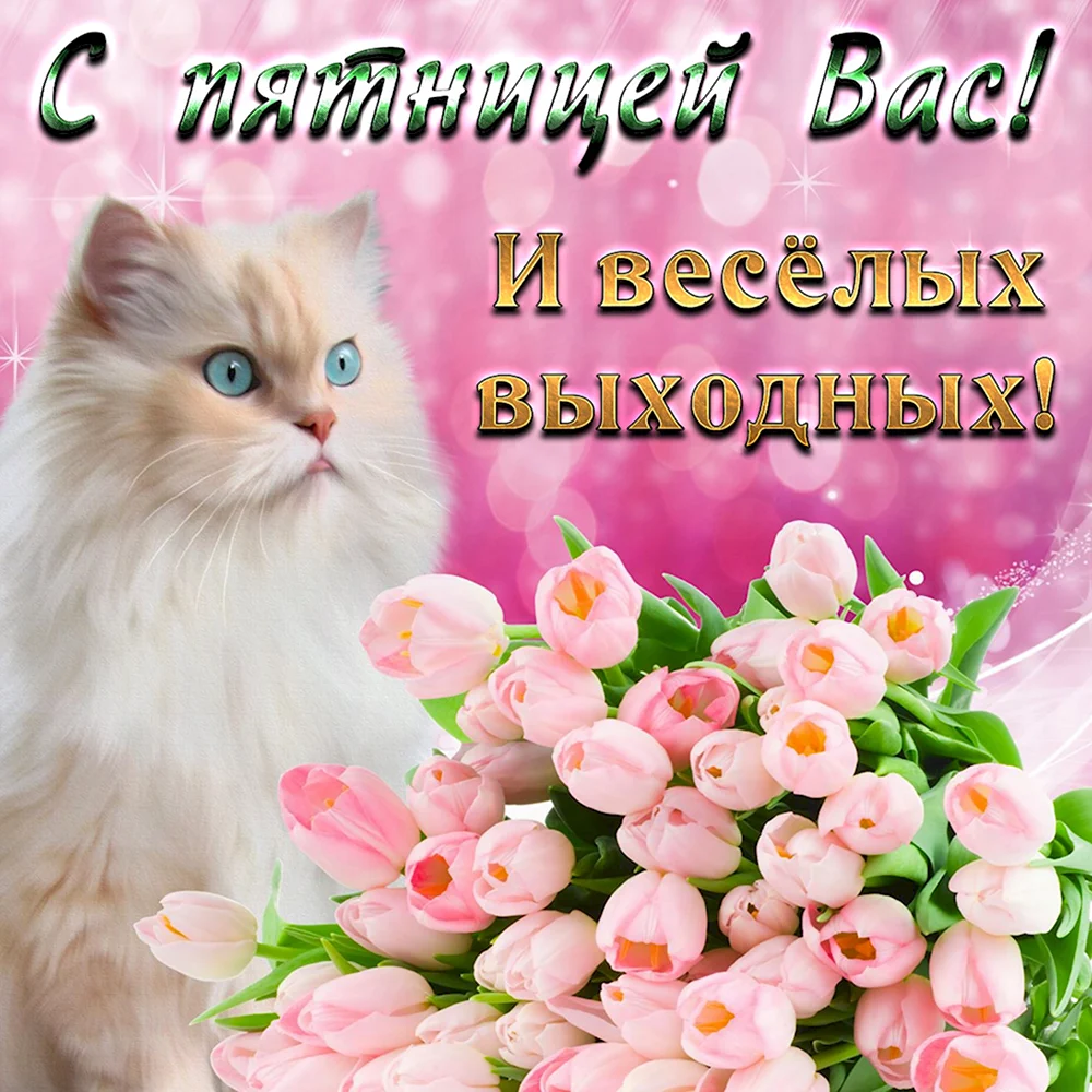 С пятницей хороших выходных