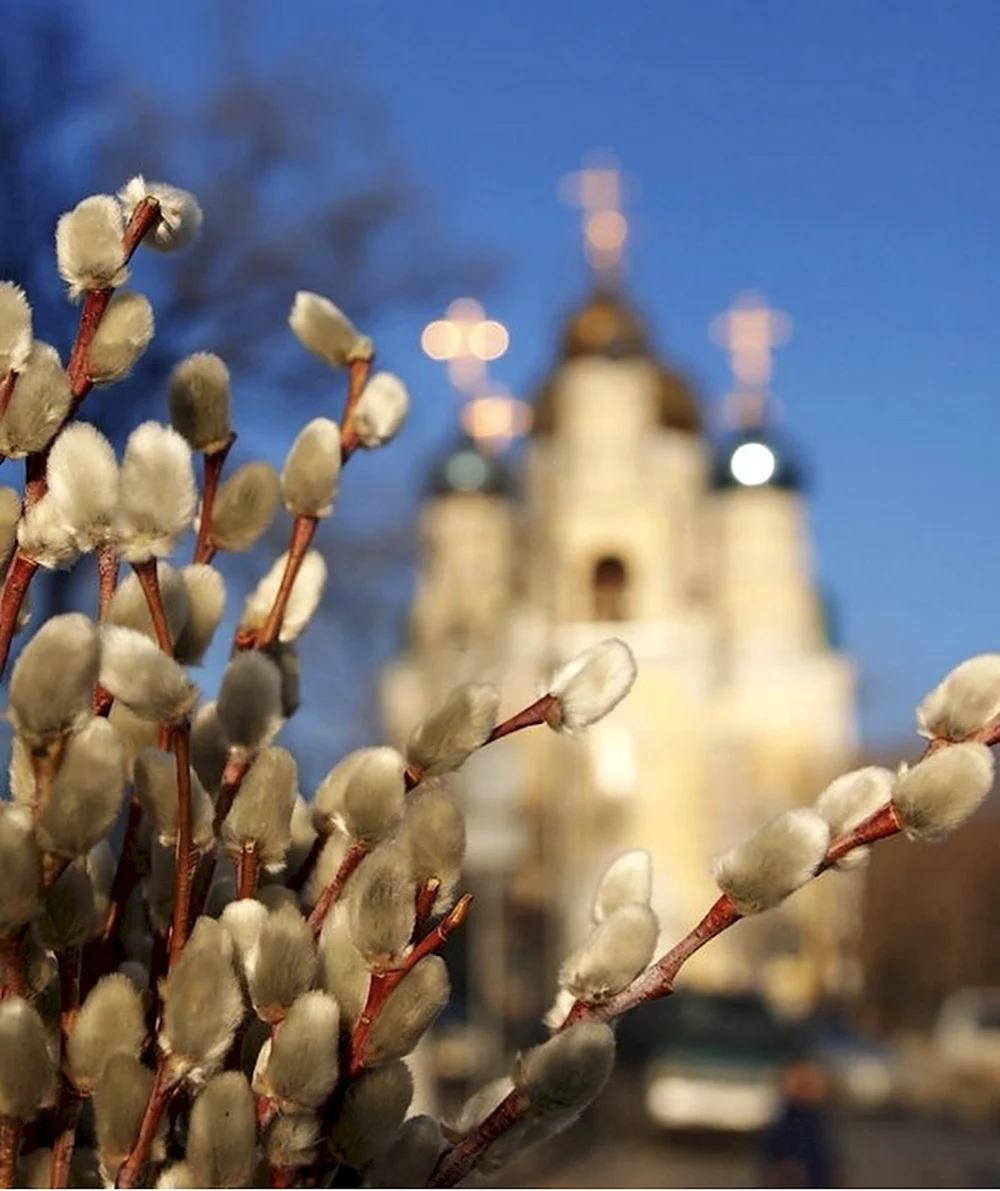 С Вербным воскресеньем