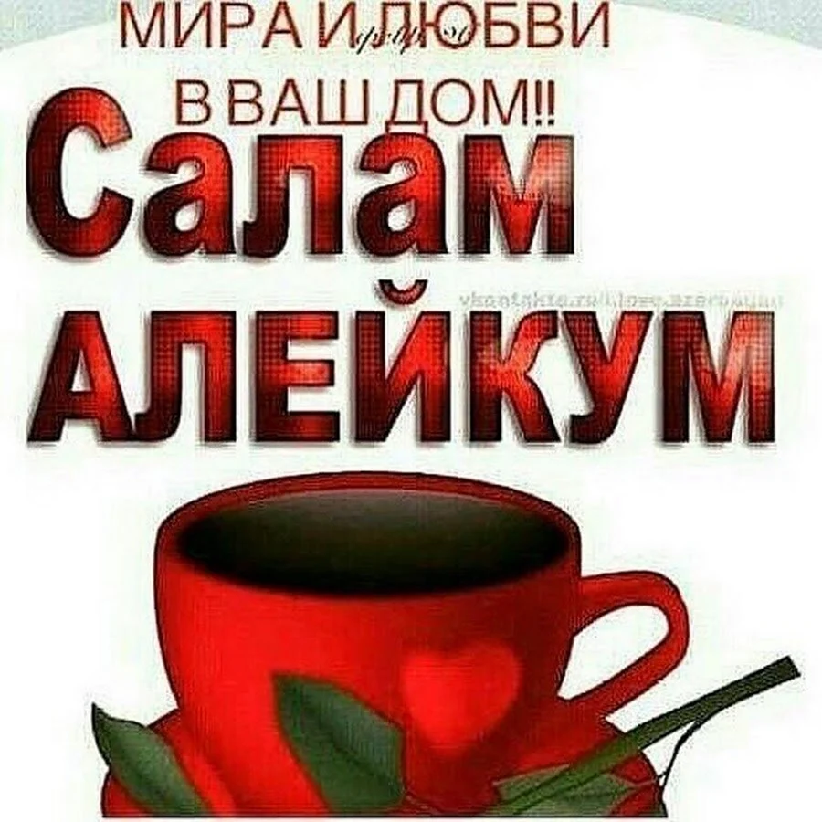 Салам алейкум