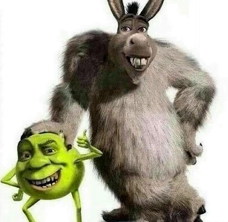 Салливан и Майк Donkey Shrek