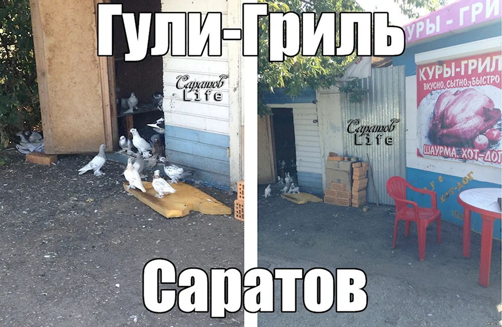 Саратов приколы