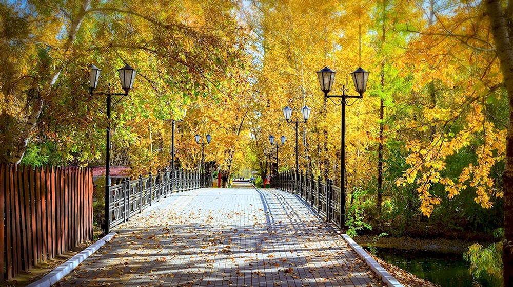 Саратов Солнечный парк осень