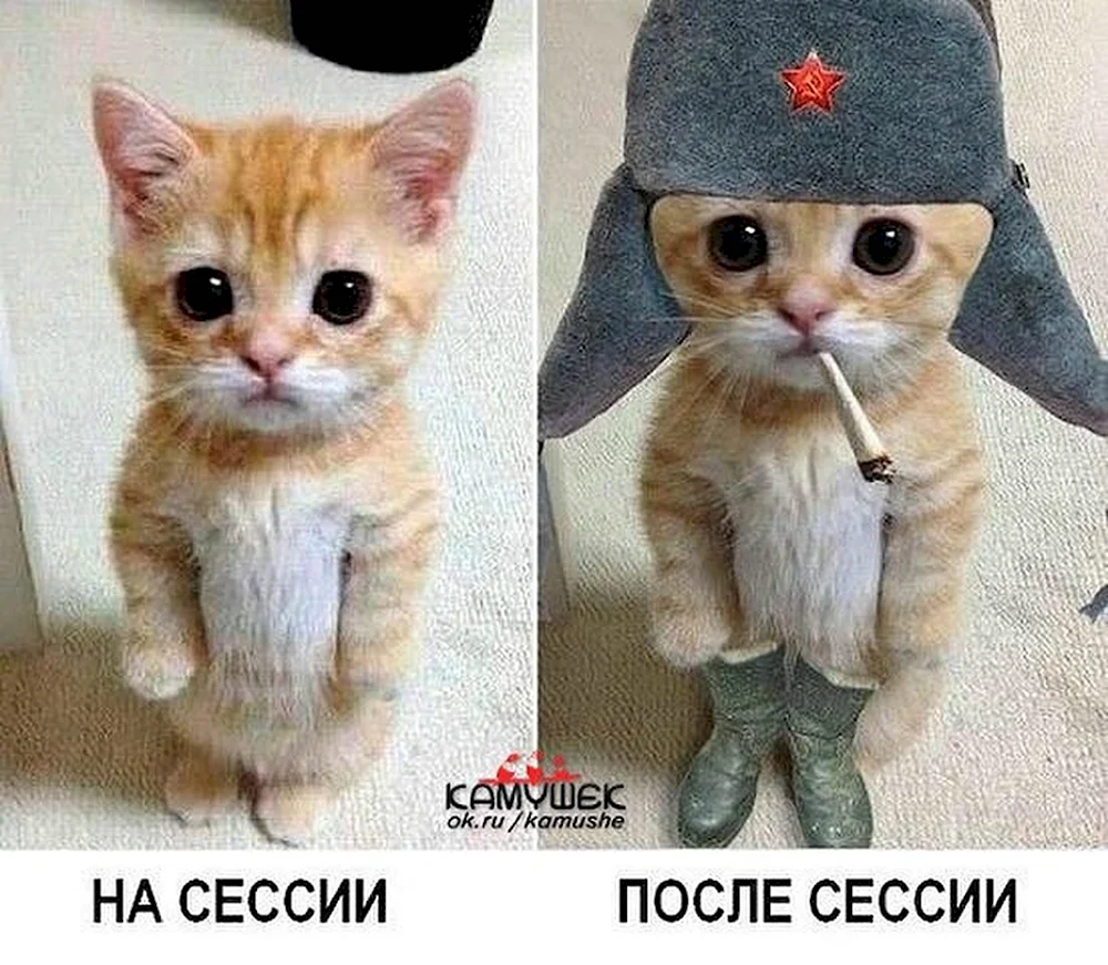 Открытки на день студента