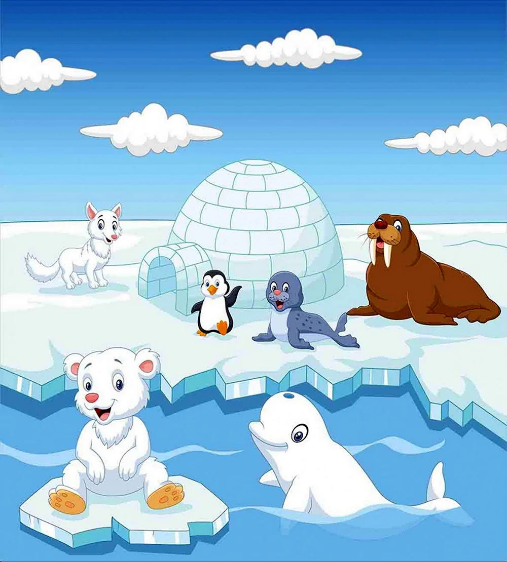 Северный полюс для детей