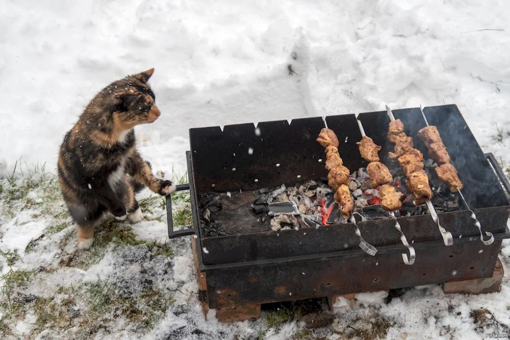 Шашлык зимой на природе