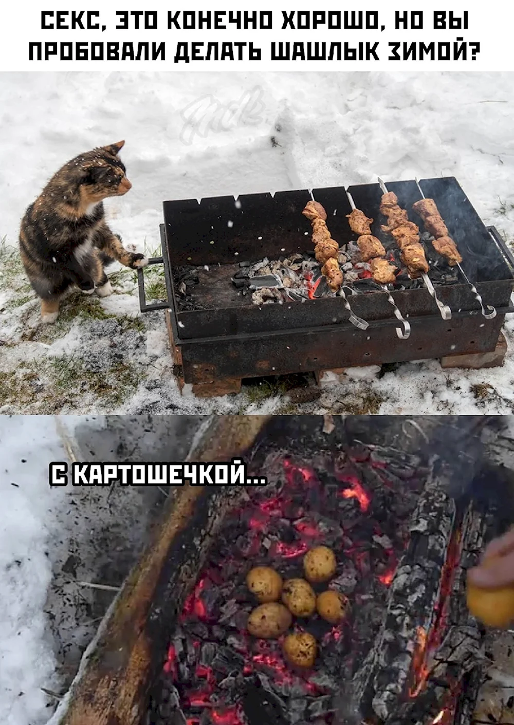 Шашлык зимой прикол