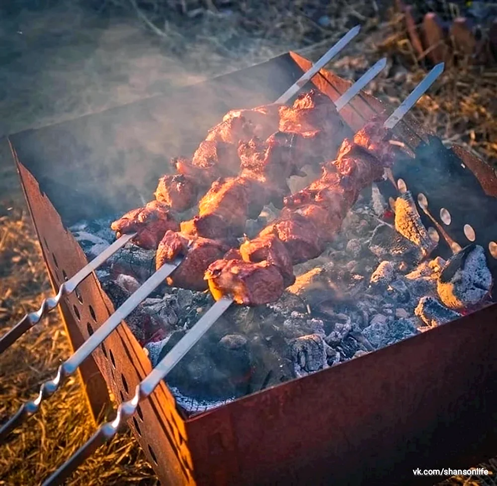 Шашлыки на природе