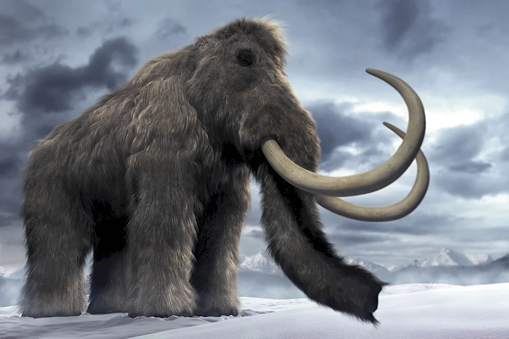 Шерстистый мамонт Woolly Mammoth