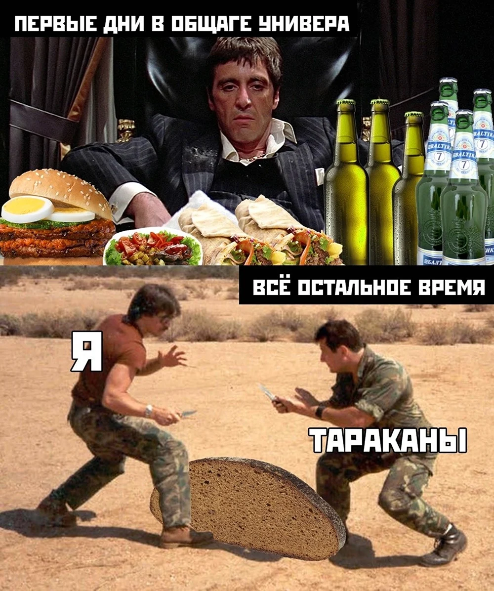 Шутки про общежитие