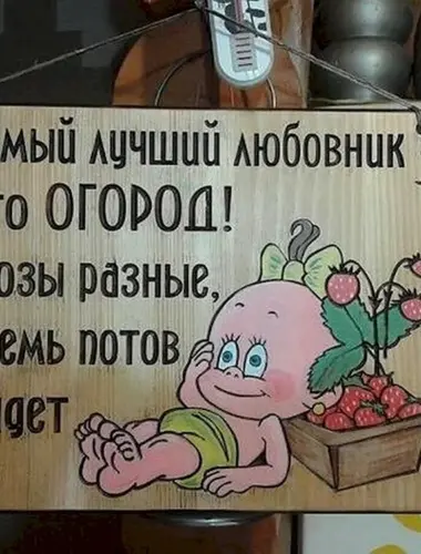 Шутки про огород