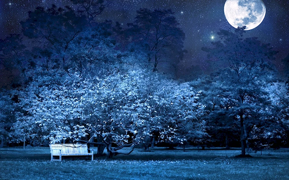 Сияла ночь луной был полон сад Фет