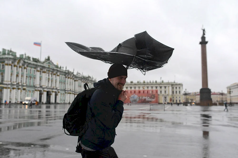 Сильный ветер в Санкт-Петербурге