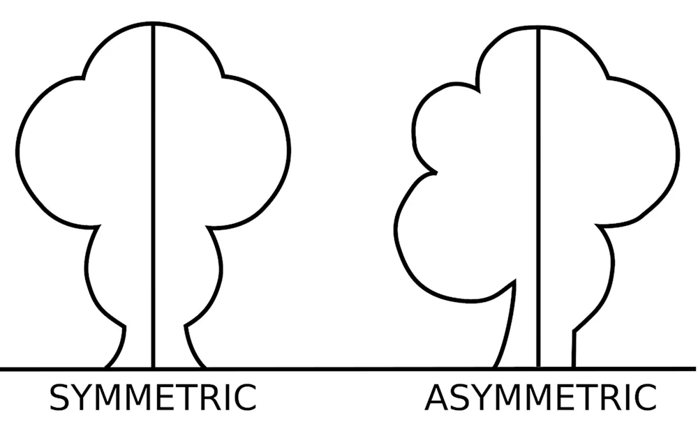 Симметричные и асимметричные фигуры