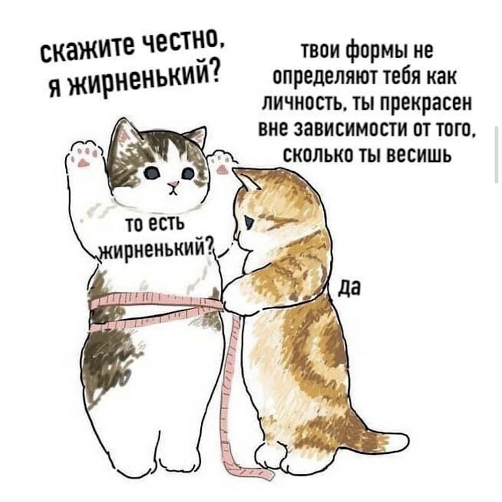 Скажи честно я жирненький котик