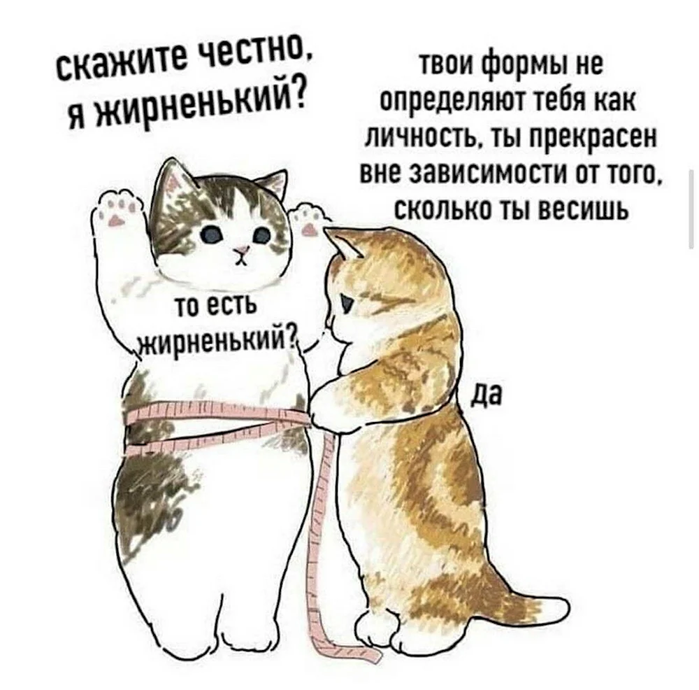 Скажи честно я жирненький котик