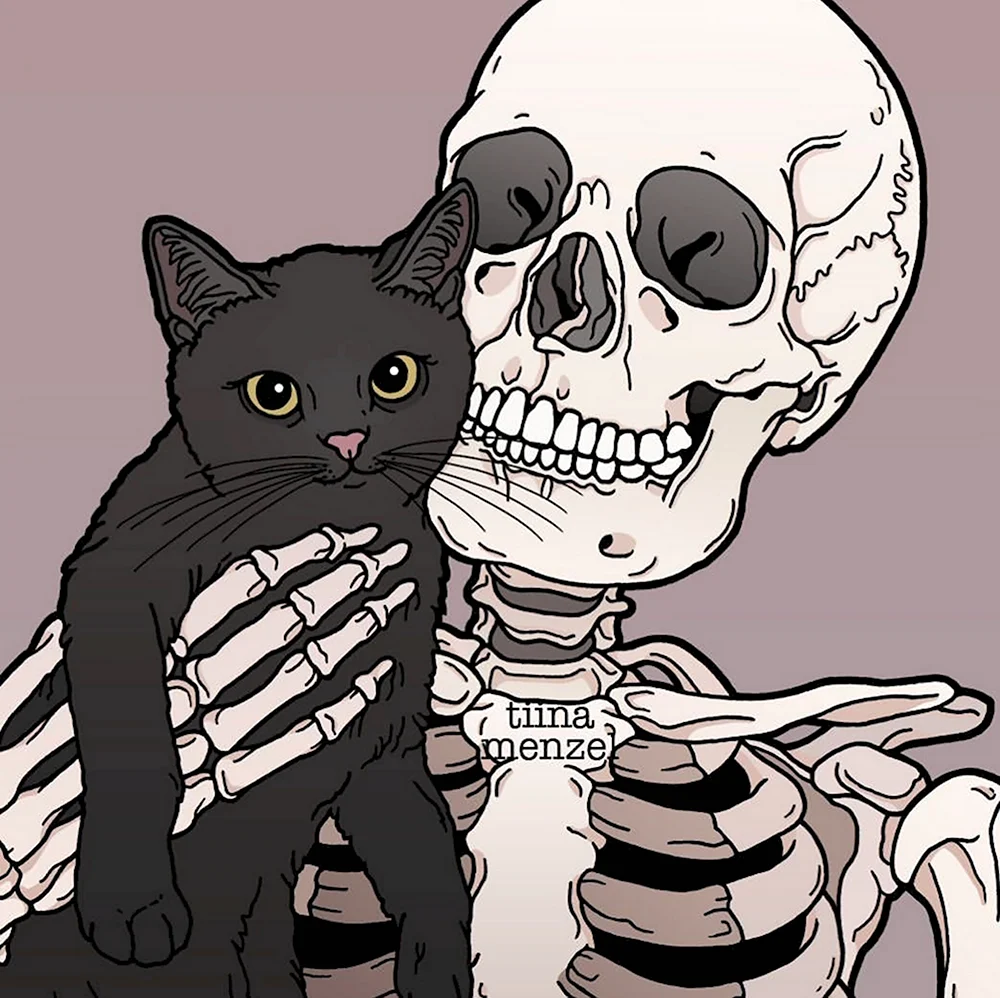 Скелет кота