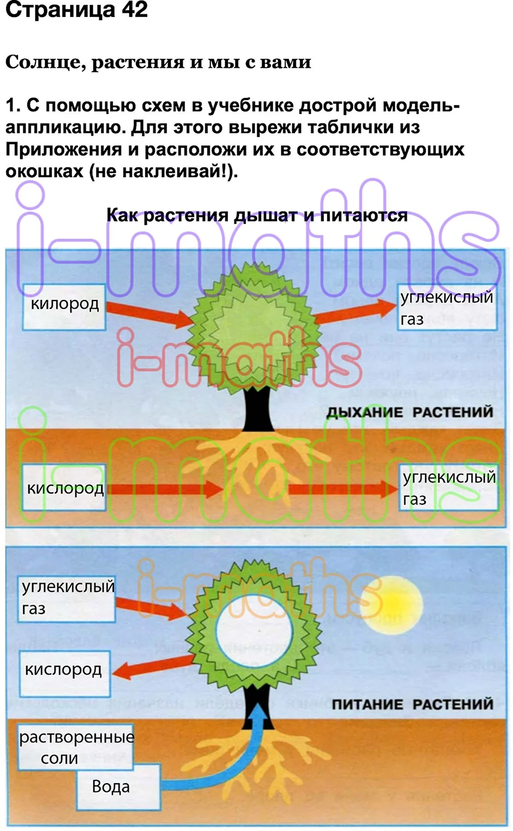 Схема питания и дыхания растений