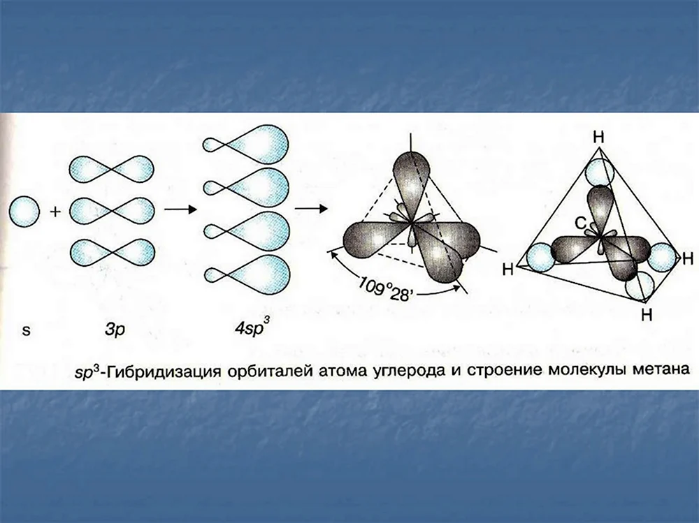 Схему sp³-гибридных орбиталей углерода