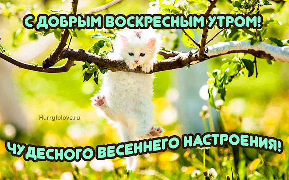 Следующее воскресенье Весна