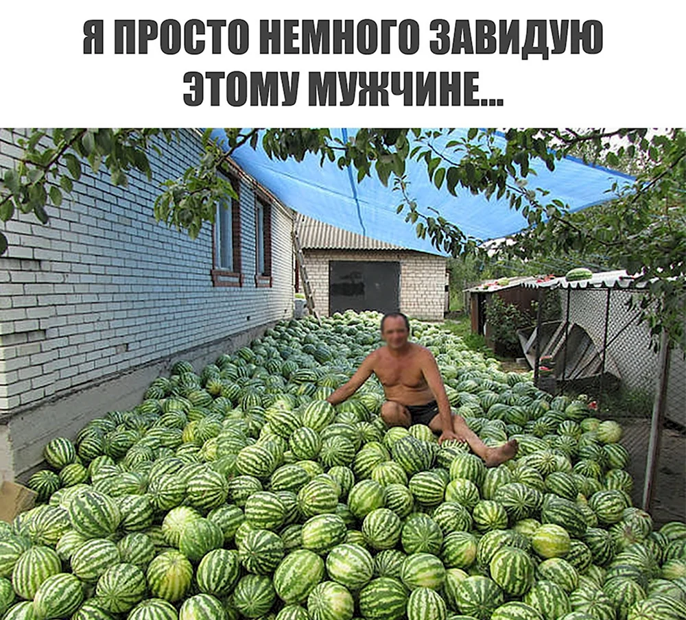 Смешной Арбуз