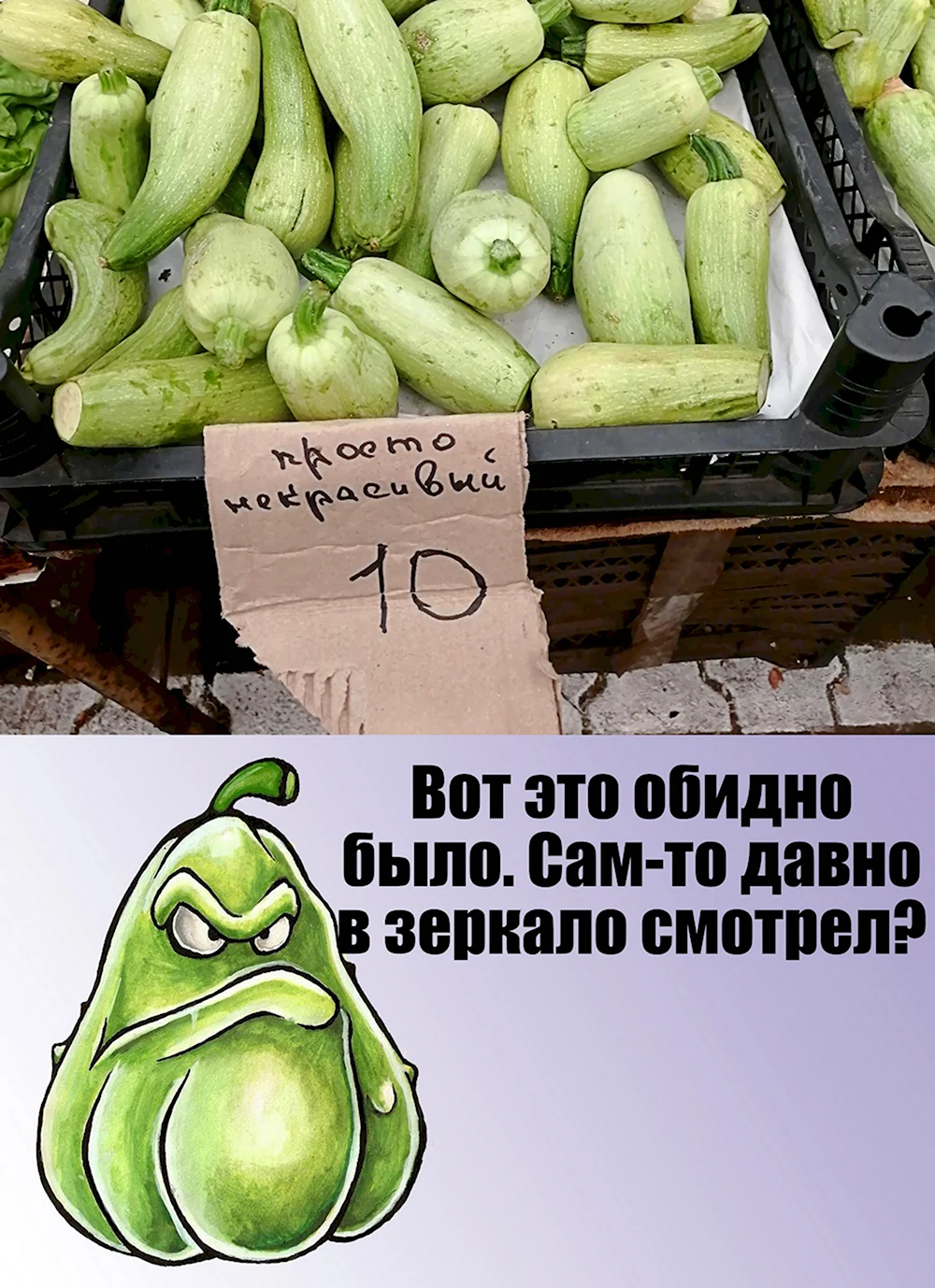 Смешной кабачок