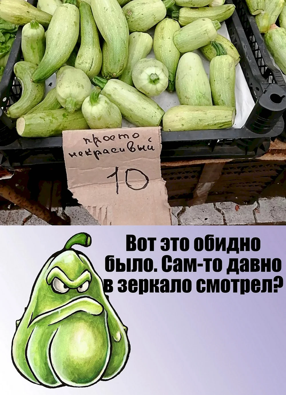 Смешной кабачок