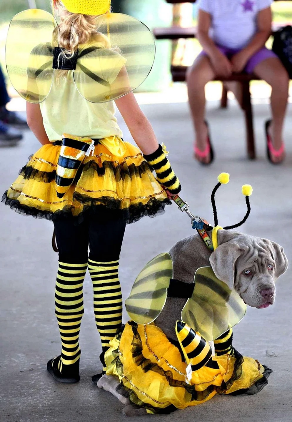 Смешной костюм пчелы