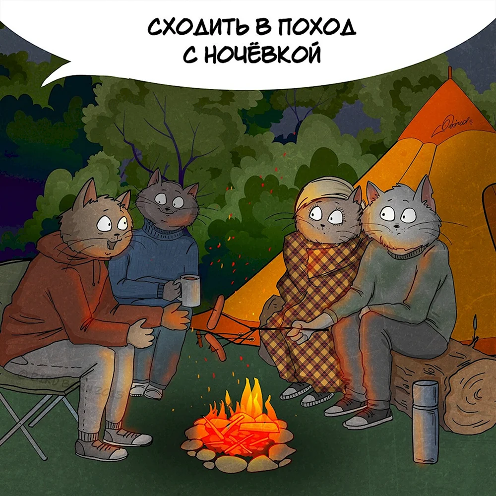 Смешной поход