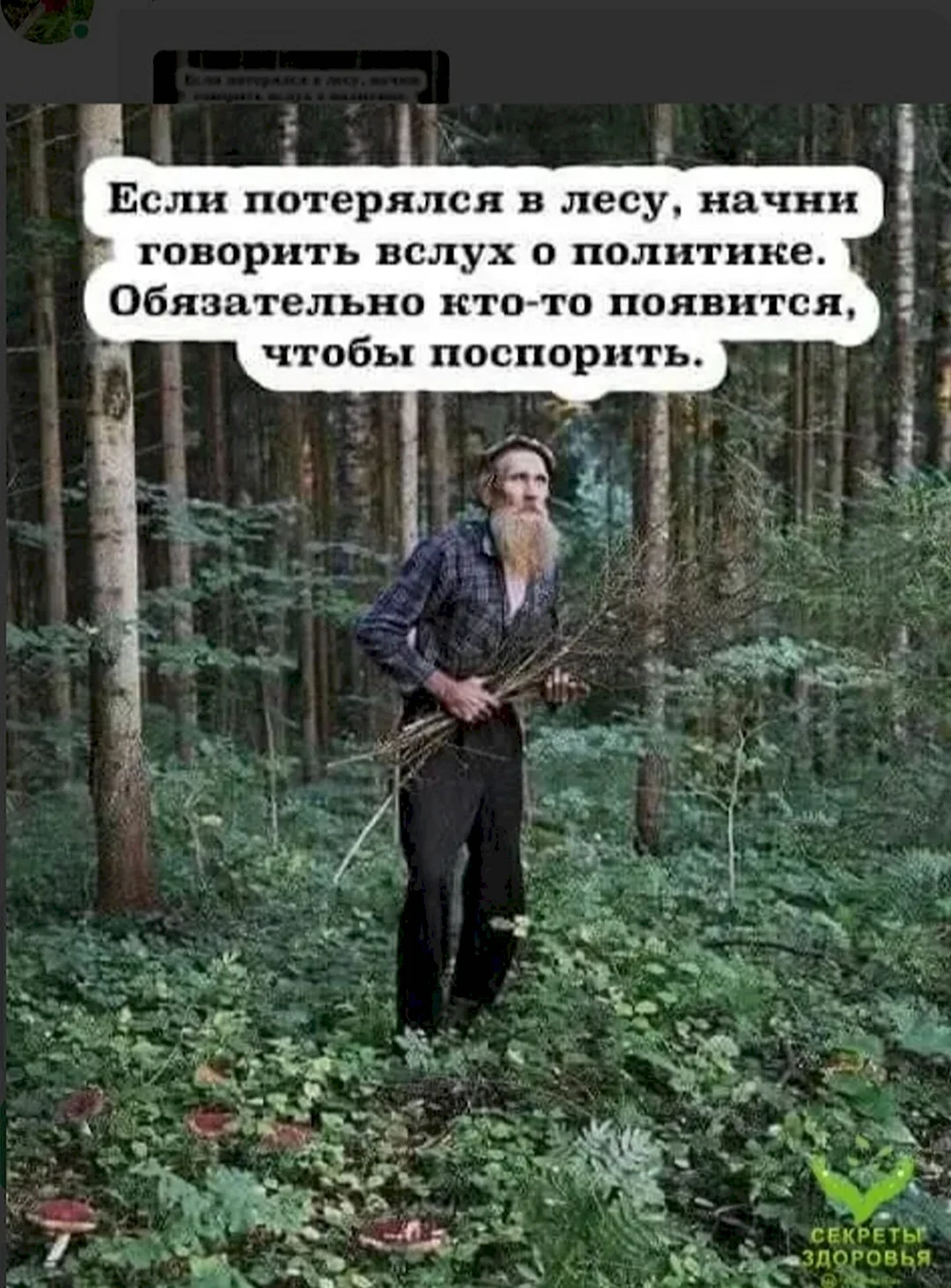 Смешной заблудившийся в лесу