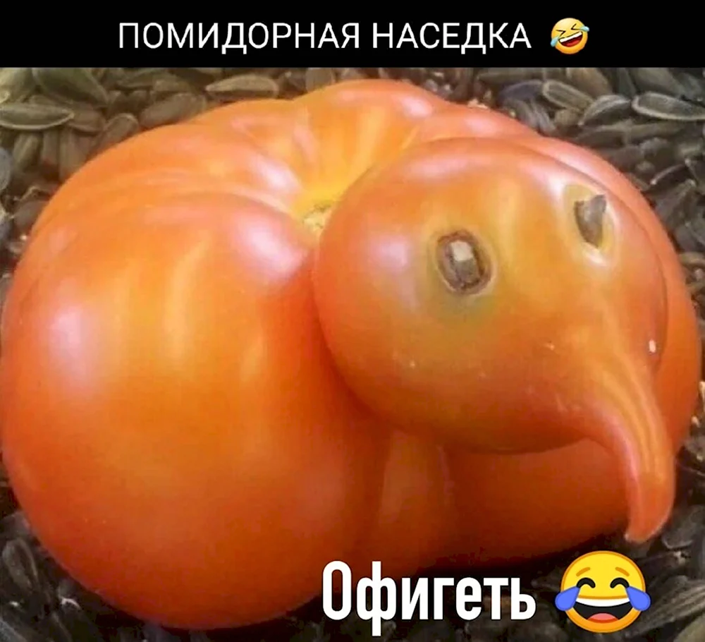 Смешные фрукты