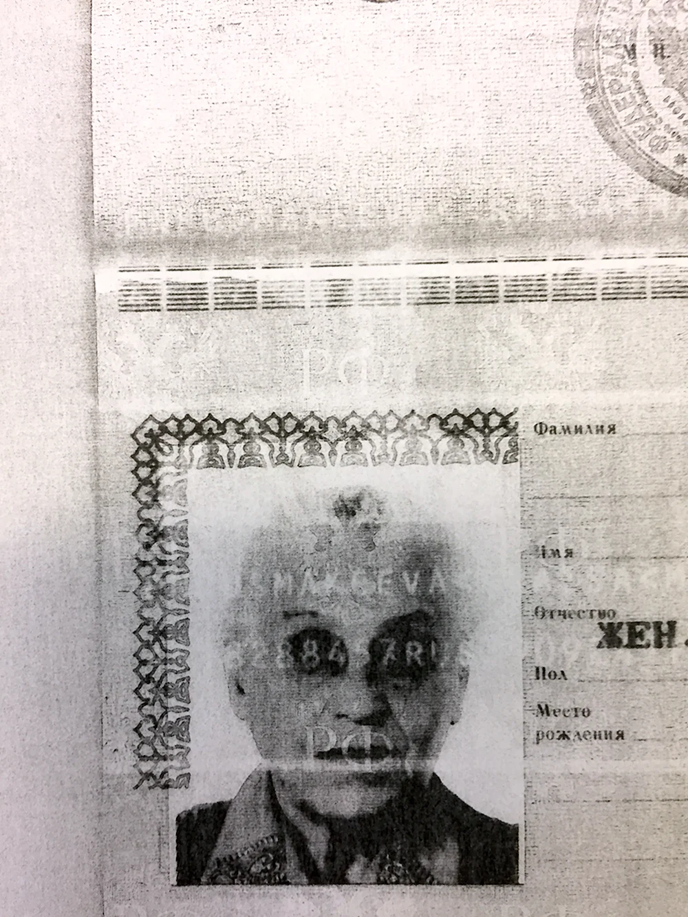 Смешные ксерокопии паспорта