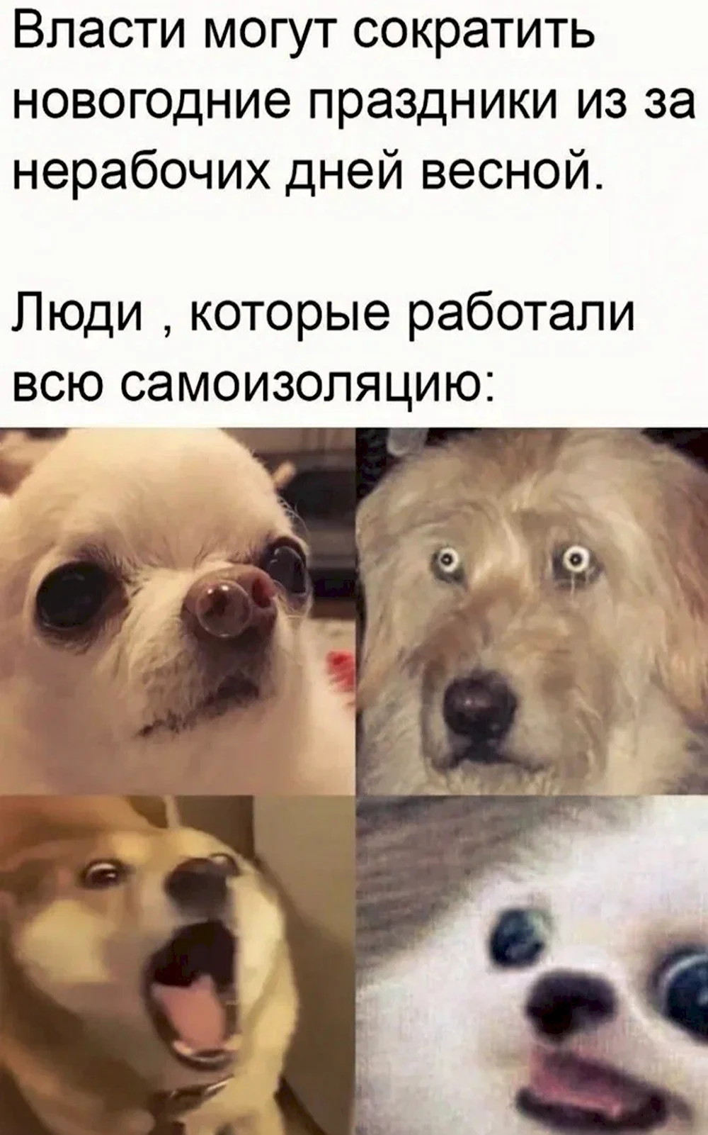 Смешные мемы