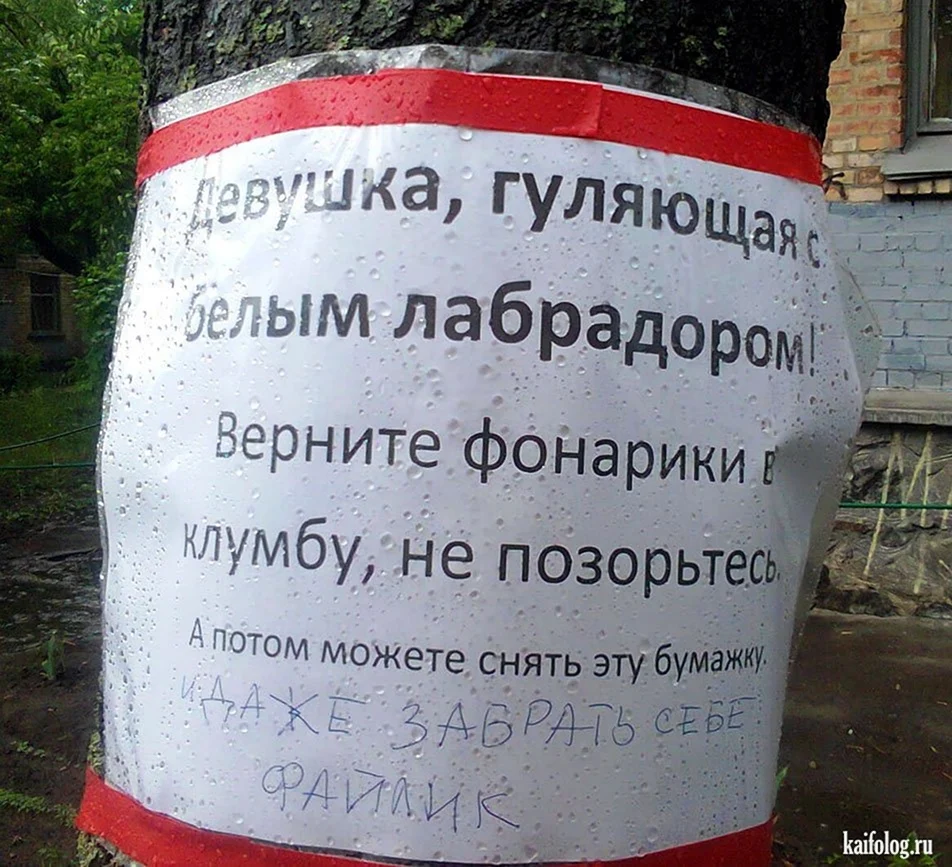 Смешные надписи