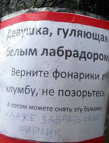 Смешные надписи