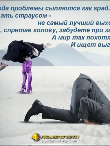 Смешные цитаты