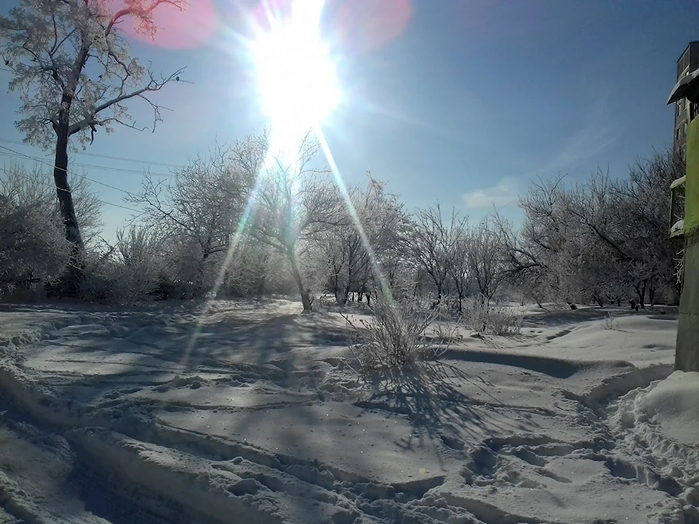 Снегопад в городе