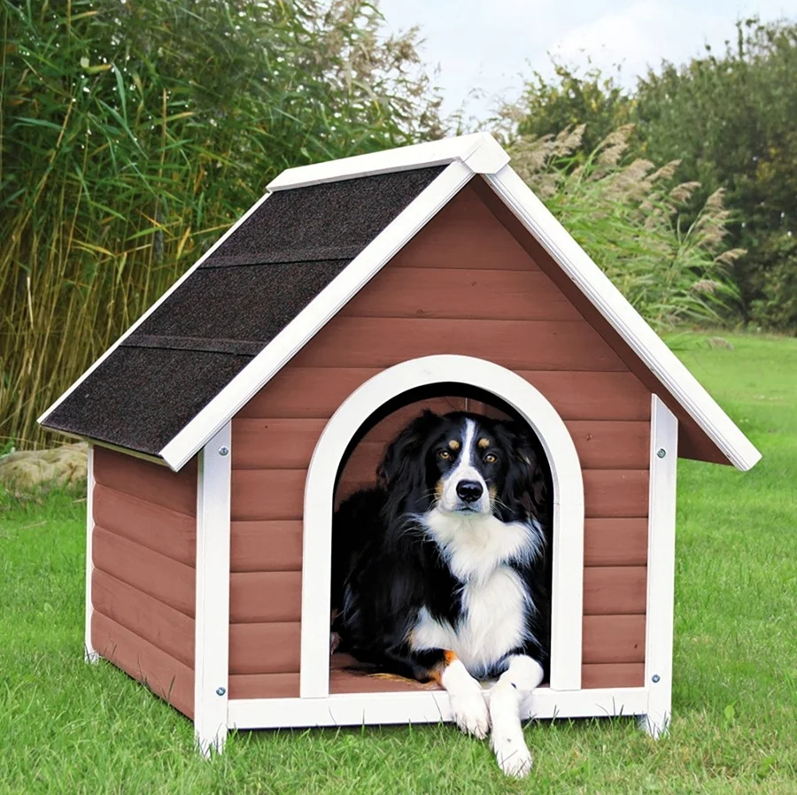 Собачья конура Doghouse