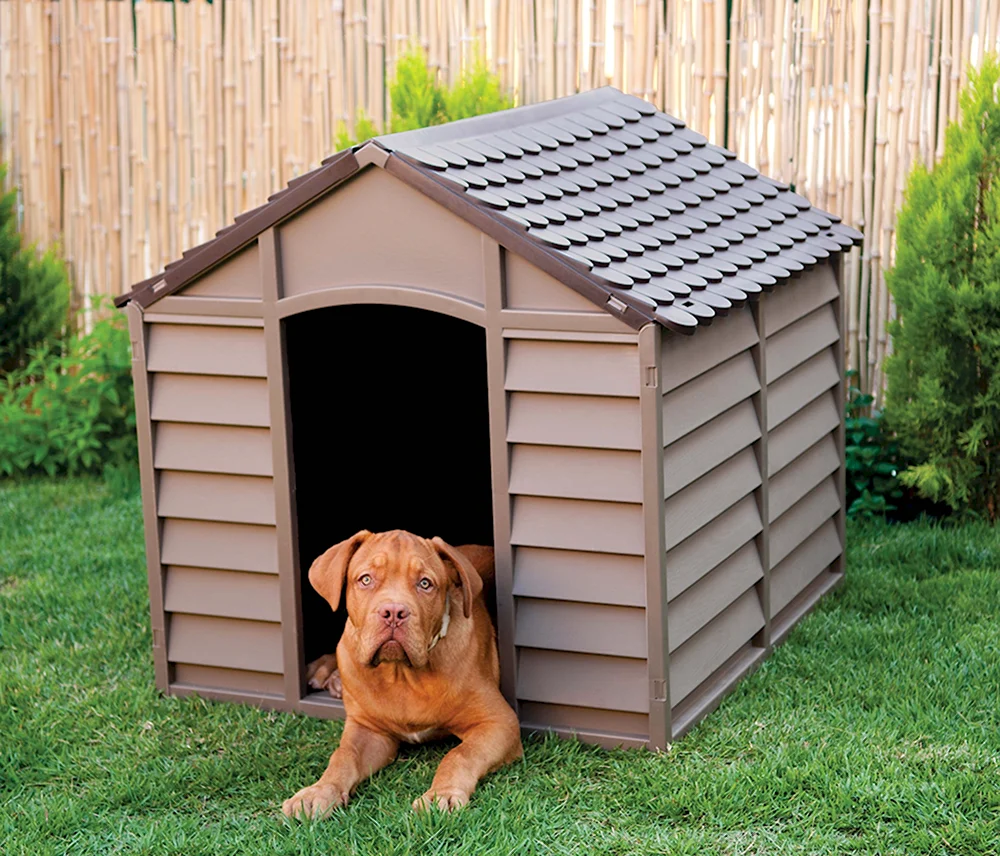 Собачья конура Doghouse