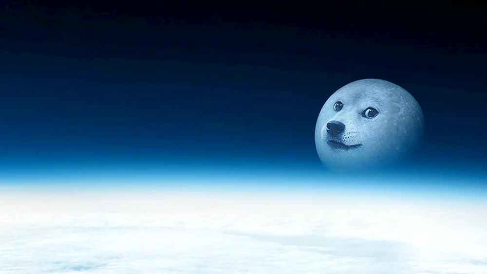 Собака Луна
