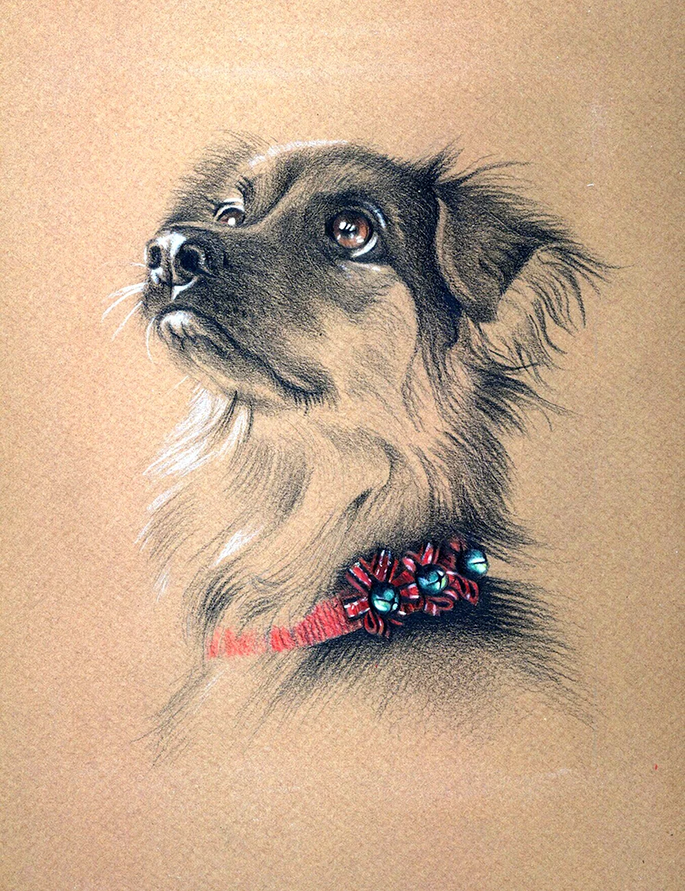 Собака пастельными карандашами