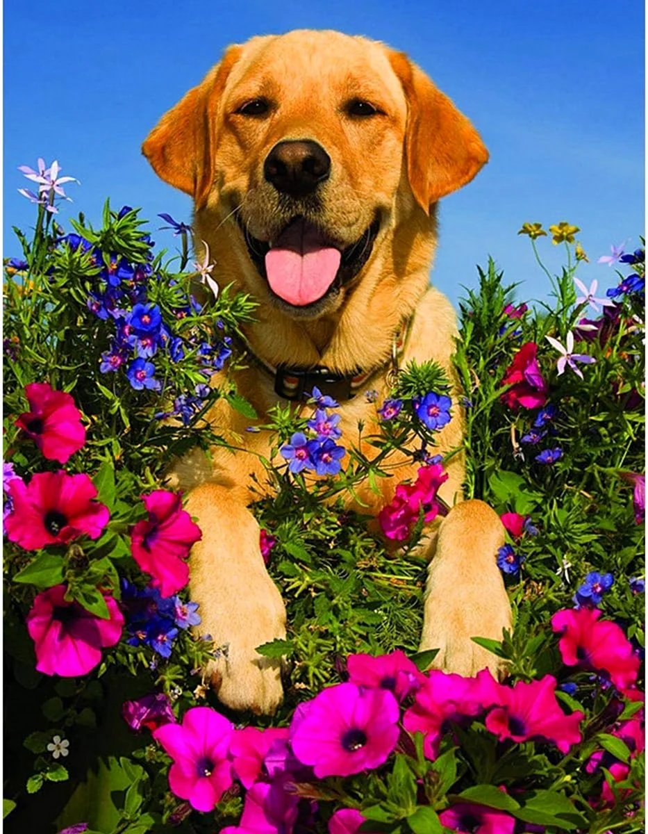 Собака в цветах